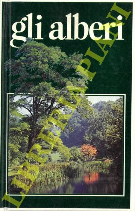 Gli alberi.