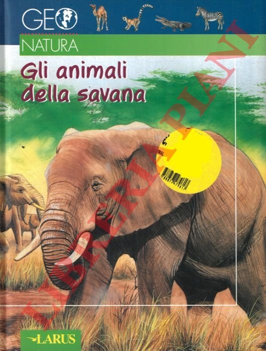 Gli animali della savana. | Immagine Gallery 3