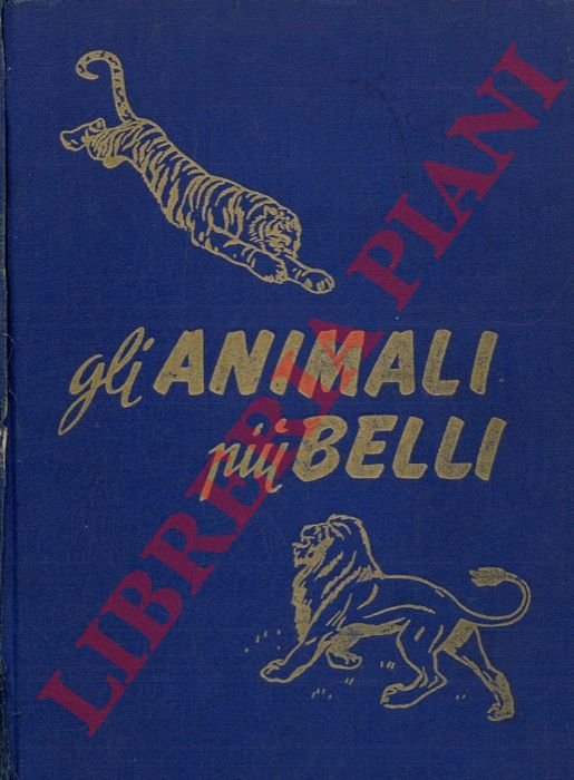Gli animali più belli. | Immagine Gallery 3