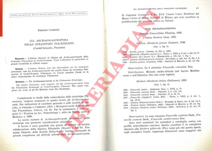 Gli Archaeogastropoda dello stratotipo Piacenziano (Castell'Arquato, Piacenza) .