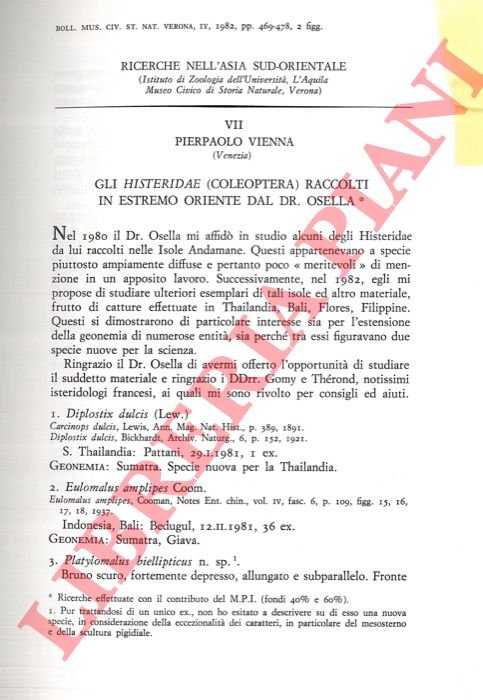 Gli Histeridae raccolti in Estremo oriente dal Dr. Osella (Coleoptera) …