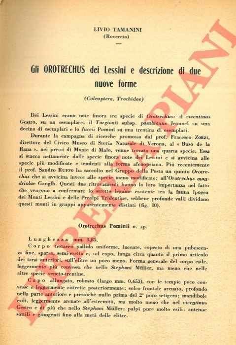 Gli Orotrechus dei Lessini e descrizione di due nuove forme …