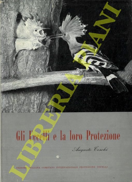 Gli uccelli e la loro protezione. | Immagine Gallery 2