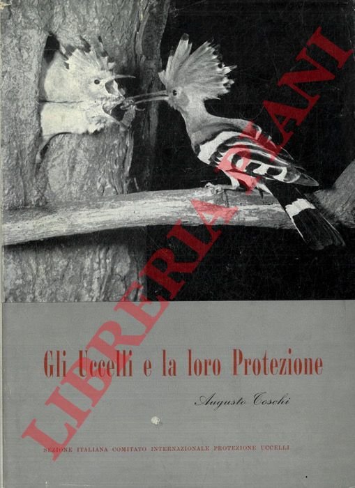 Gli uccelli e la loro protezione. | Immagine Gallery 3