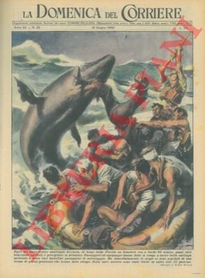 Gran parte dei passeggeri e dell' equipaggio di un bimotore …