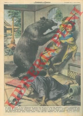 Grosso orso gironzola per le strade di Uozu (Giappone), penetrando …