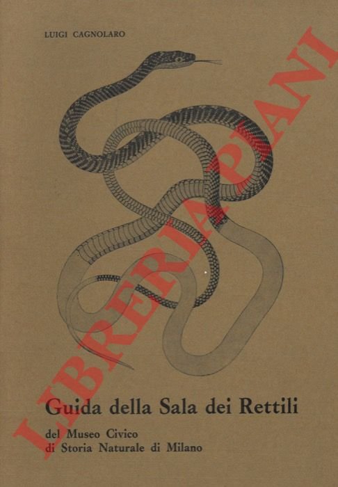 Guida della Sala dei 'Rettili' del Museo Civico di Storia …
