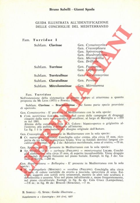 Guida illustrata all'identificazione delle conchiglie del Mediterraneo.