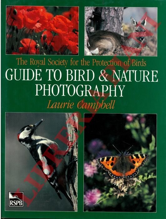 Guide to birds & nature photography.
