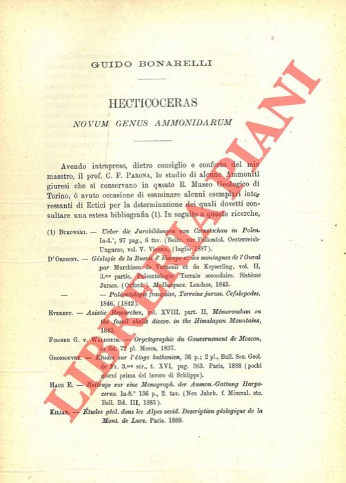 Hecticoceras Novum Genus Ammonidarum.