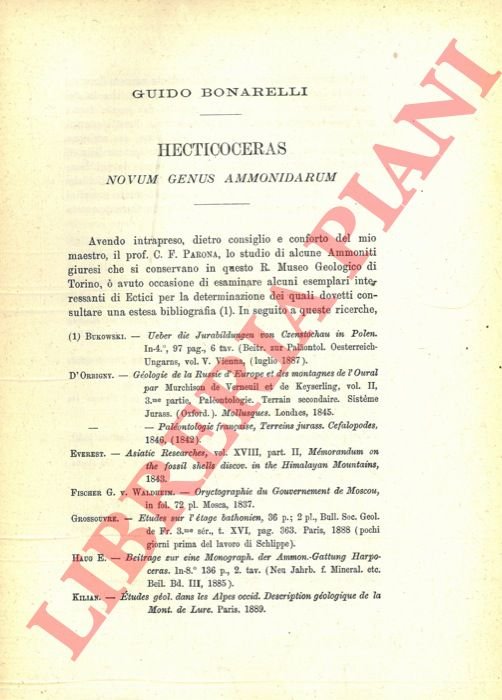 Hecticoceras Novum Genus Ammonidarum.