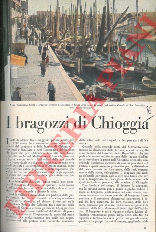 I bragozzi di Chioggia.