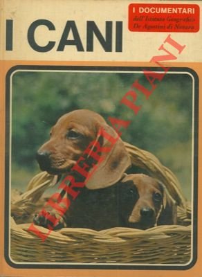 I cani.
