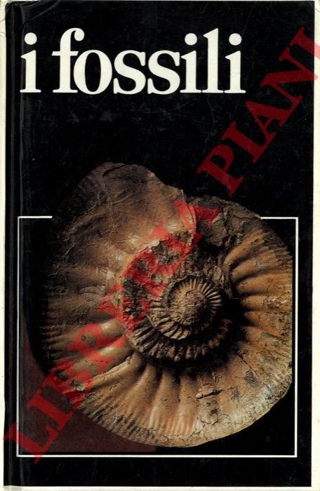 I fossili.
