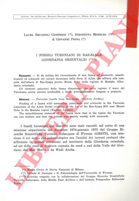 I fossili turoniani di Ras-Sjaga (Giordania Orientale) .