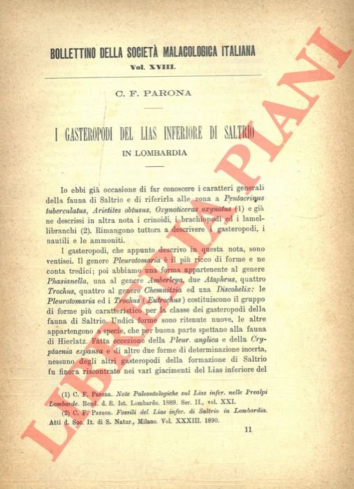 I Gasteropodi del Lias inferiore di Saltrio in Lombardia.