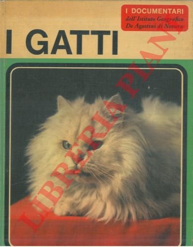 I gatti.