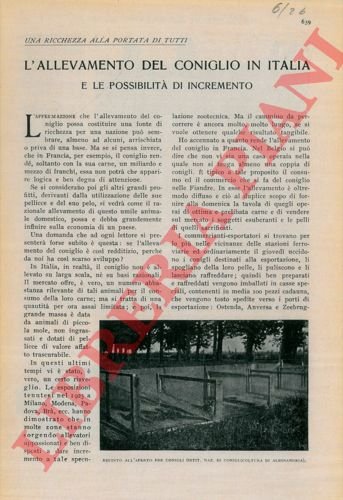 I licheni e la malattia delle vetrate antiche. | Immagine Gallery 3
