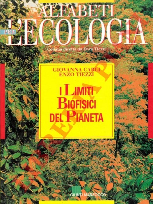 I limiti biofisici del pianeta.