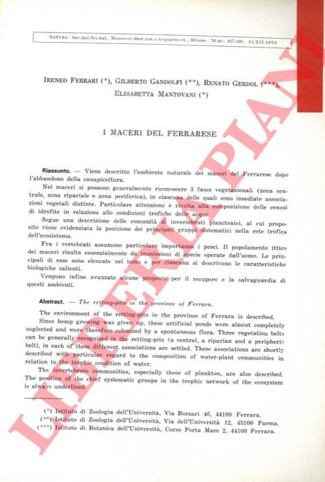 I maceri del Ferrarese.