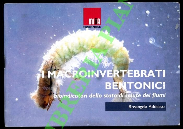 I macroinvertebrati bentonici bioindicatori dello stato di salute dei fiumi.