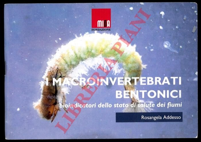 I macroinvertebrati bentonici bioindicatori dello stato di salute dei fiumi.