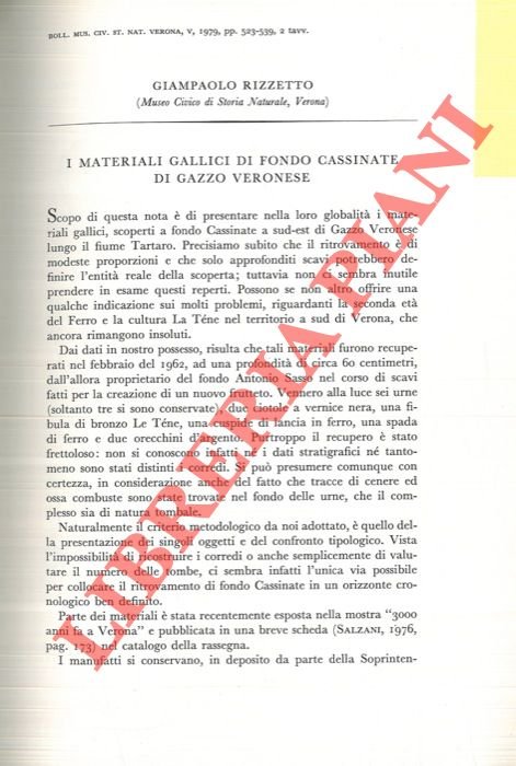 I materiali gallici di fondo Cassinate di Gazzo Veronese. | Immagine Gallery 2
