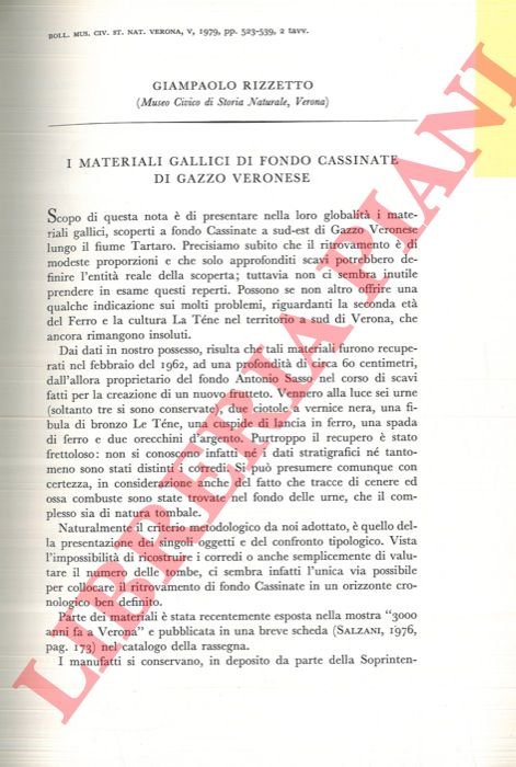 I materiali gallici di fondo Cassinate di Gazzo Veronese. | Immagine Gallery 3