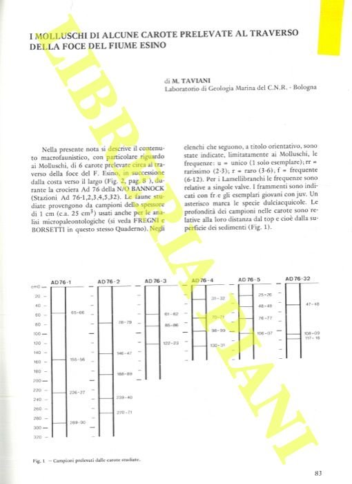 I molluschi di alcune carote prelevate al traverso della foce …