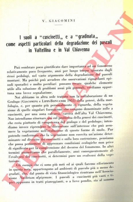 I suoli a “cuscinetti” e a “gradinata” come aspetti particolari …