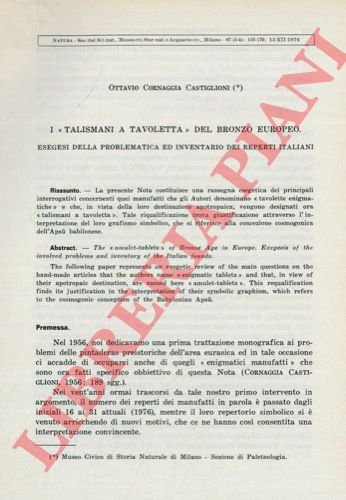 I 'talismani a tavoletta' del bronzo europeo. Esegesi della problematica …