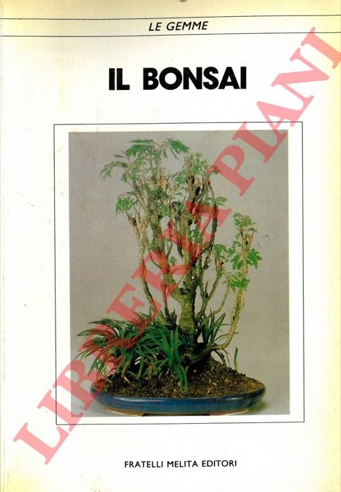 Il bonsai.
