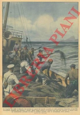 Il Brasile, che produce tre quarti del raccolto mondiale di …