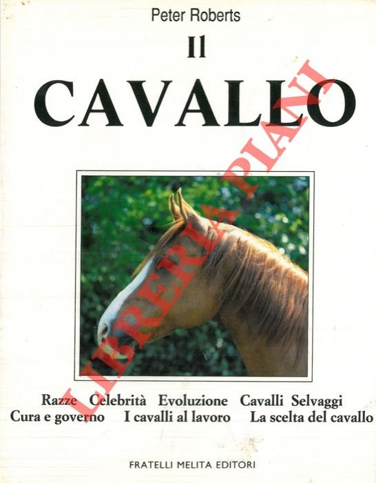 Il Cavallo.