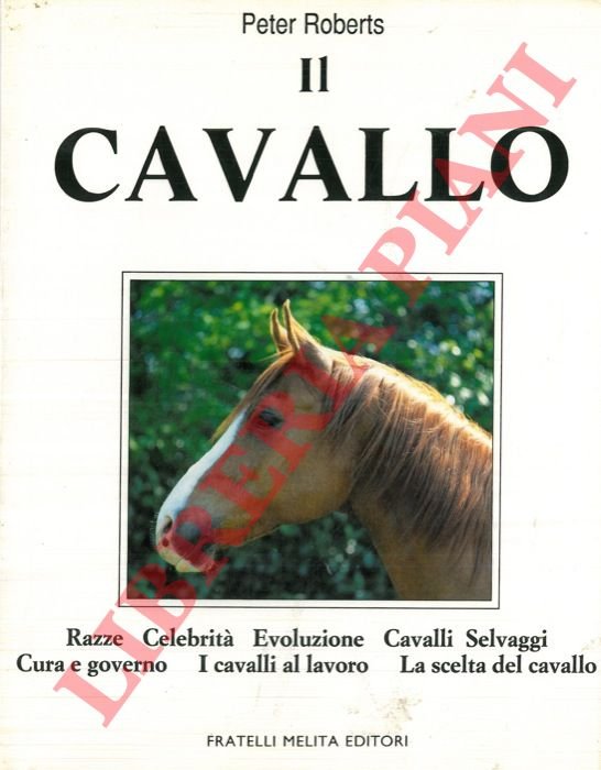 Il Cavallo.