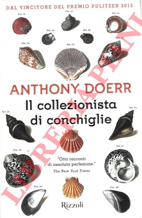 Il collezionista di conchiglie.