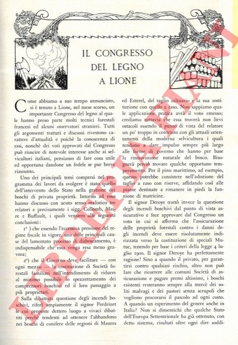 Il Congresso del legno a Lione. | Immagine Gallery 3