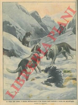 Il direttore dell'Osservatorio al San Gottardo trovatomorto assiderato dai cani …