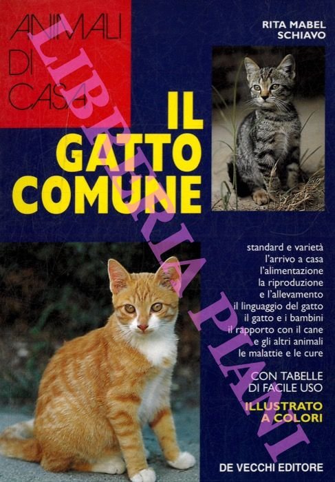 Il gatto comune.