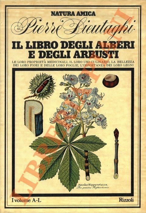 Il libro degli alberi e degli arbusti. Le loro proprietà medicinali, il loro uso culinario, la bellezza dei loro fiori e delle loro foglie, l'importanza dei loro legni.