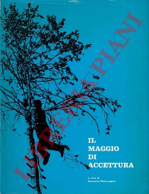 Il maggio di Accettura [come fatto folcloristico e come vicenda …