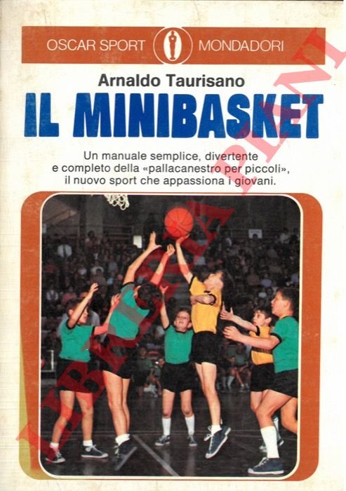 Il minibasket.