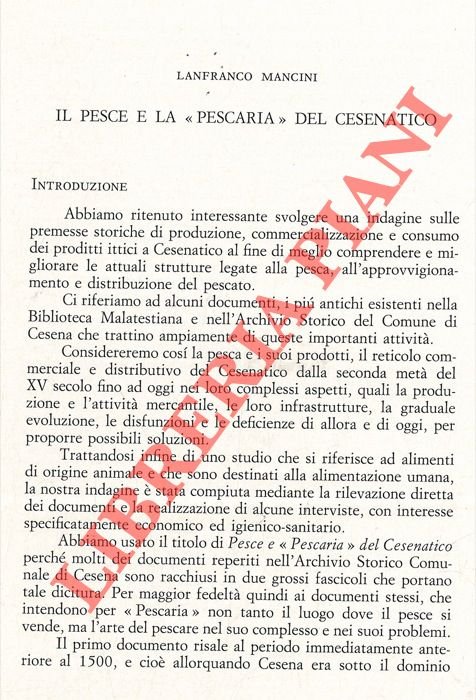 Il pesce e la “Pescaria” del Cesenatico.