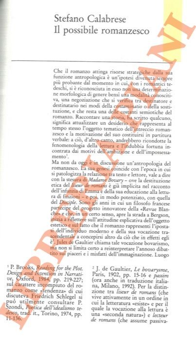 Il possibile romanzesco.