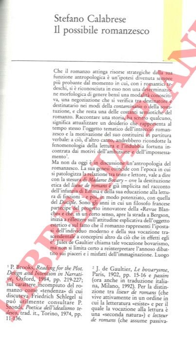 Il possibile romanzesco.