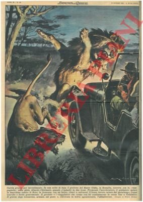 Il prefetto del Basso Giuba, in Somalia, si imbatte in …