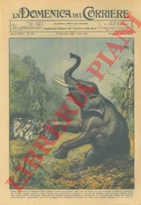 Il Re, in Somalia, durante la caccia all'elefante.