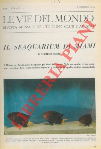 Il seaquarium di Miami. | Immagine Gallery 2