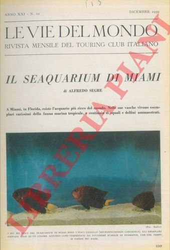 Il seaquarium di Miami. | Immagine Gallery 3