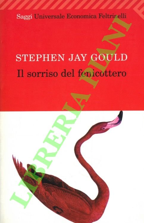 Il sorriso del fenicottero.